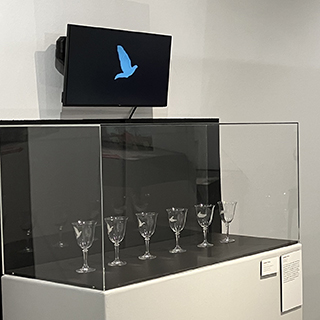 installation day