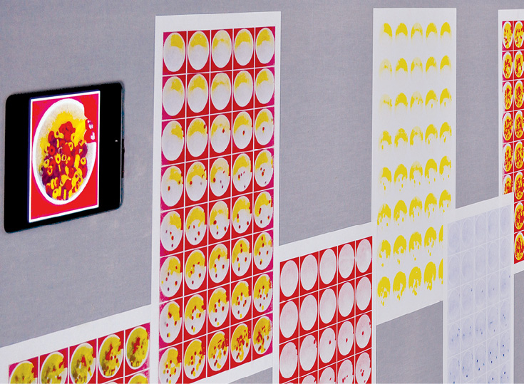 Froot Loops Loop Exhibit Display