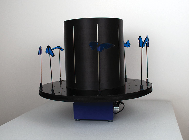 Silhouette Zoetrope: Butterflies Exhibit Display